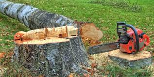 Best Tree and Shrub Care  in Zion, PA